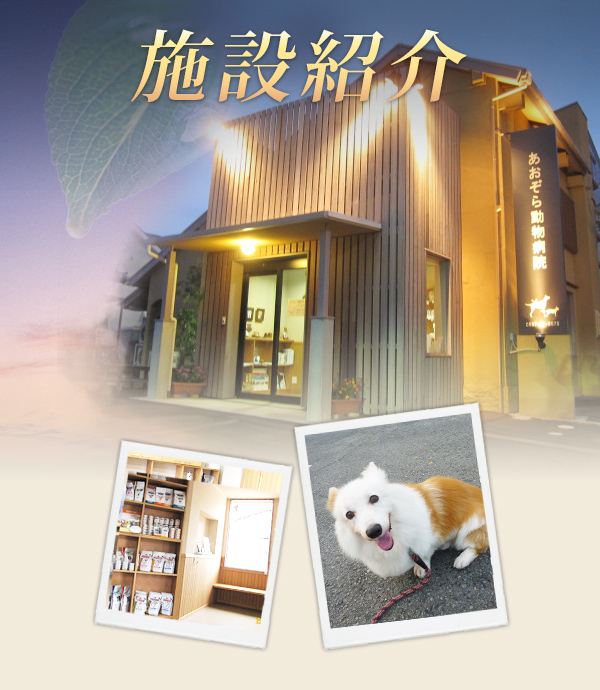 施設紹介