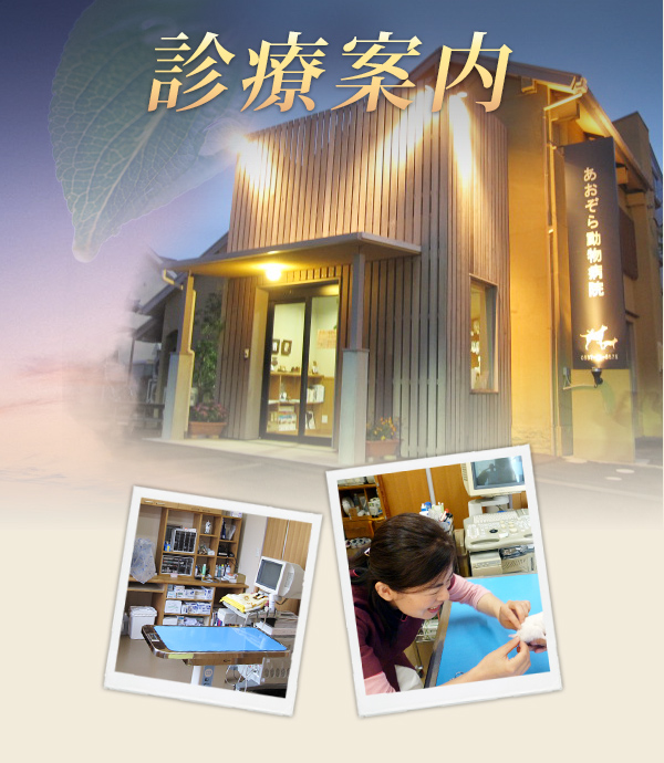 診療案内