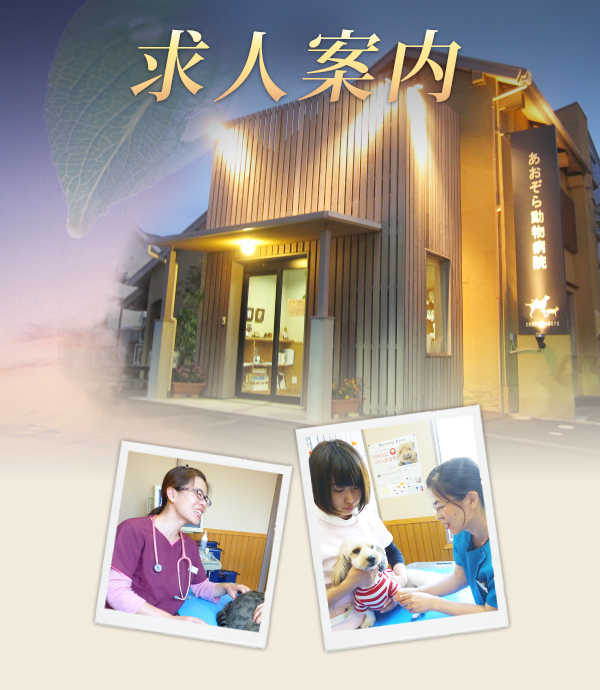 求人案内